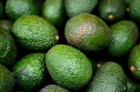 Photographer Los Angeles - Hass Avocados
