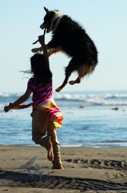 Photographer Los Angeles - Australian Shepherd Picture With Child Playing