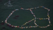 Aerial Cinematography Los Angeles NRDC Peace Paddle with Laird Hamilton & Gabby Reece Malibu