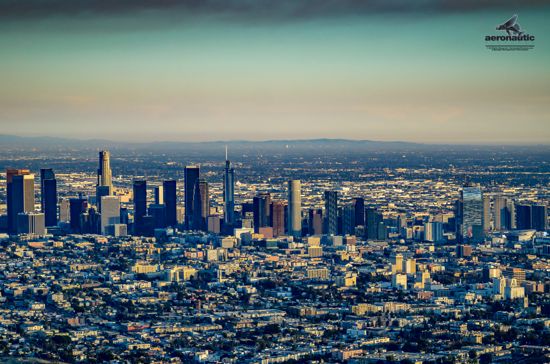 Downtown Los Angeles Aerial View