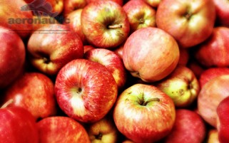 Photo of Red Delicious Apples - Food Stock Photos