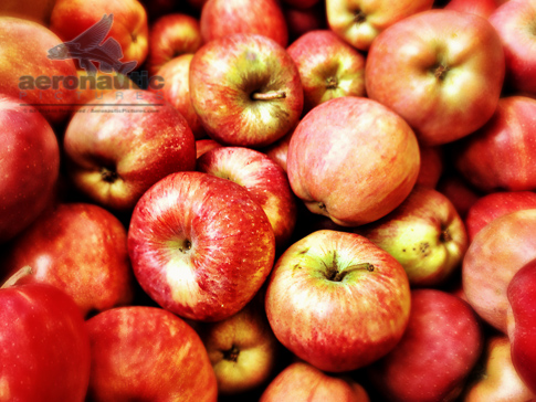 Photo of Red Delicious Apples - Food Stock Photos