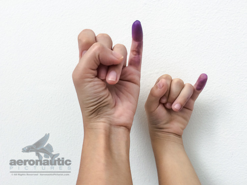 Parenting Stock Images: Electoral Ink Marks Mother & Child's Pinky Fingers