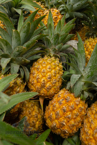 Food Stock Photo - Ripe Pineapples Download