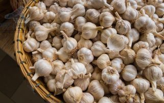 Garlic Picture - Garlic in a Woven Basket - Food Stock Photo